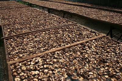 神石高原町産　天日乾燥椎茸